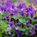 1-deil82-AdobeStock_859741066-scaled