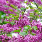 Julia_AdobeStock_505673261