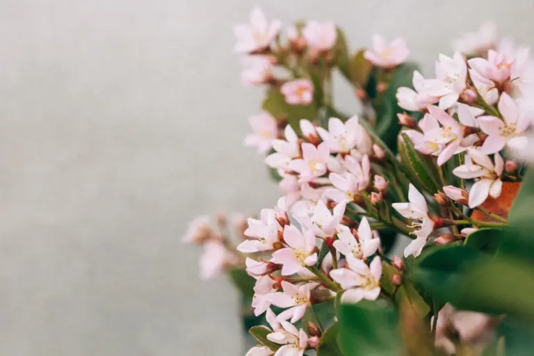 Ursula-Page_AdobeStock_341329339-scaled
