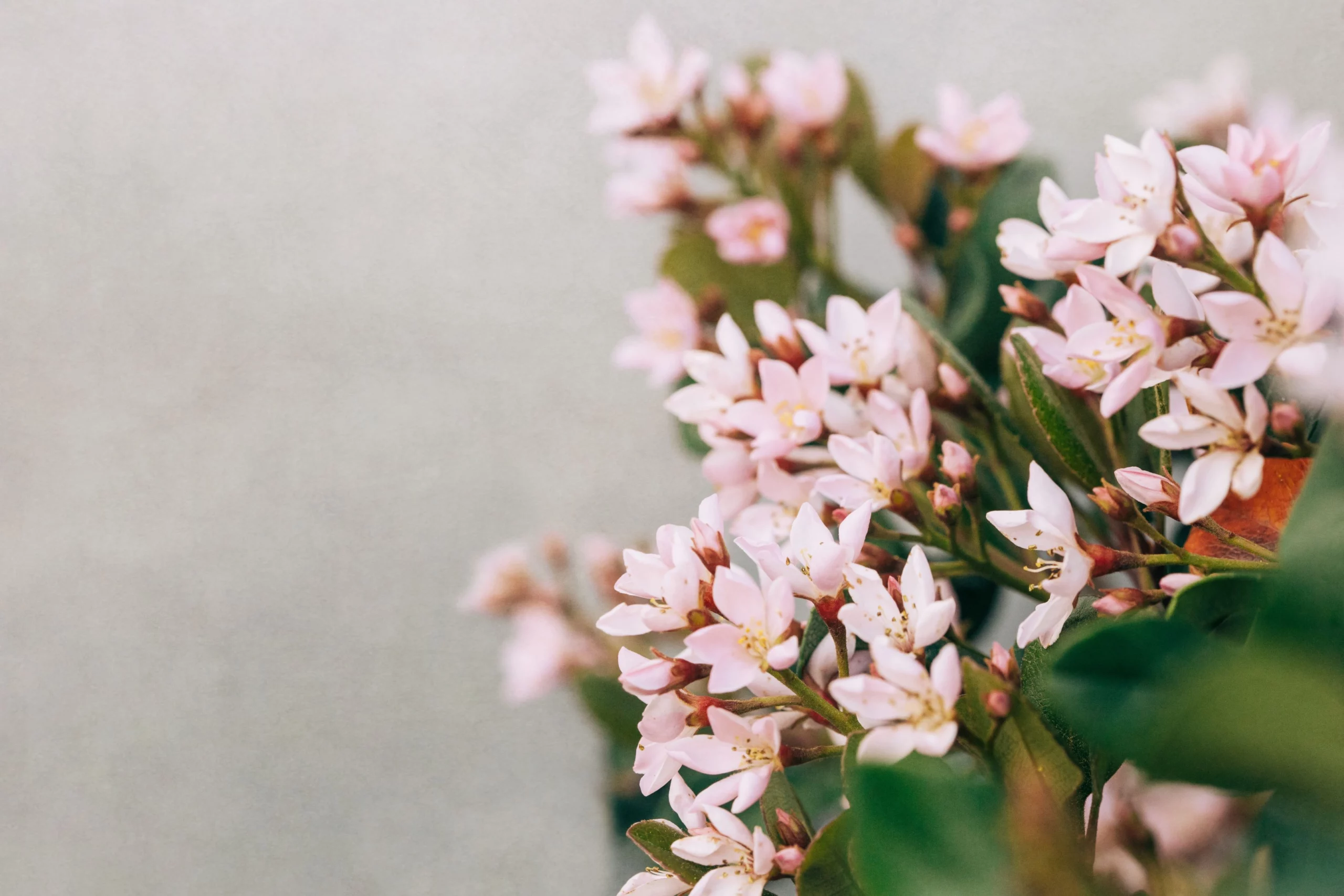Ursula-Page_AdobeStock_341329339-scaled