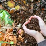 Compost