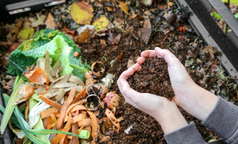 Compost
