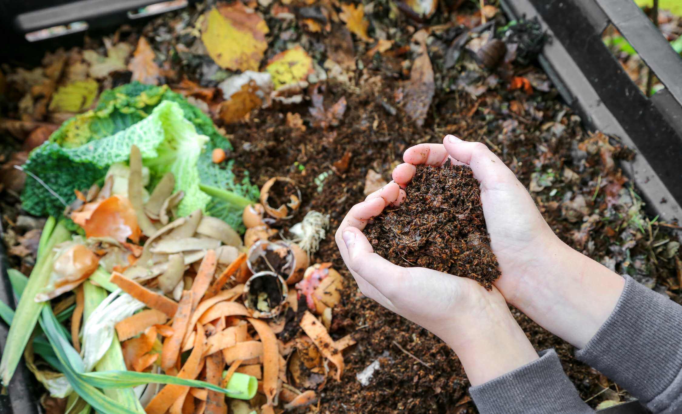 Compost