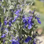 hcast-AdobeStock_682184948-2048x2048