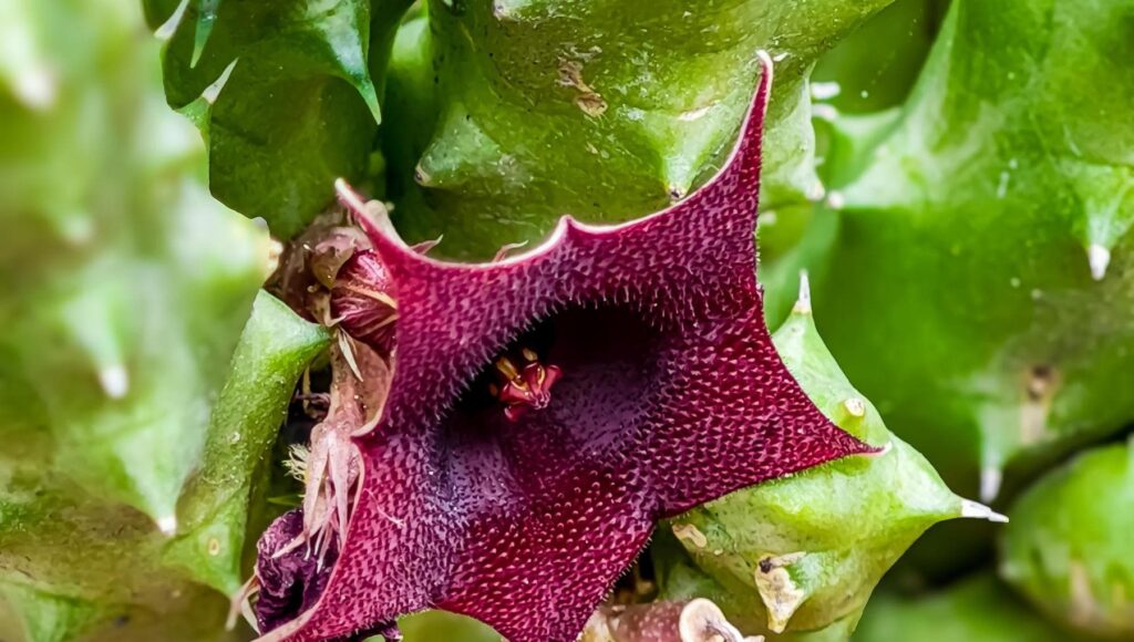 144138408-2f48beef-10da-41ad-b81a-191238b866d2