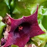 144138408-2f48beef-10da-41ad-b81a-191238b866d2