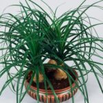 155401837-e0e0d9b1-c2bf-4ff8-957c-dc248ef6f1f4