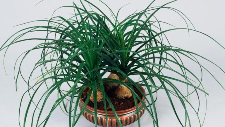 155401837-e0e0d9b1-c2bf-4ff8-957c-dc248ef6f1f4