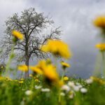 112636752-9a0d06a0-0812-4205-9cf2-2a4d51a44b20