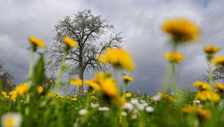 112636752-9a0d06a0-0812-4205-9cf2-2a4d51a44b20