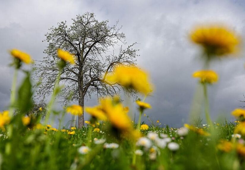 112636752-9a0d06a0-0812-4205-9cf2-2a4d51a44b20