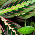 154420700-b4a9888a-682a-48c6-8498-b504413f99fe