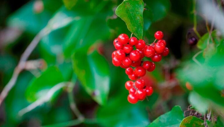 154649936-96a8276c-d07a-4ff1-921a-d835b70504d3