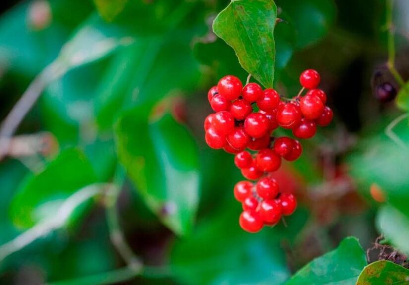 154649936-96a8276c-d07a-4ff1-921a-d835b70504d3