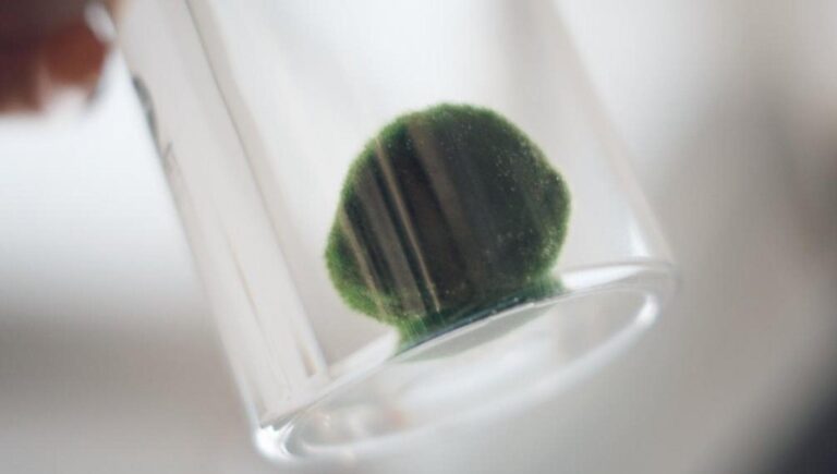 160533313-93c52267-fa26-4243-bd28-213df4454671