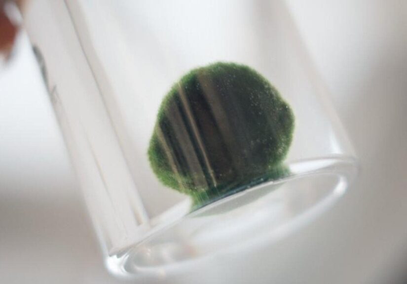 160533313-93c52267-fa26-4243-bd28-213df4454671