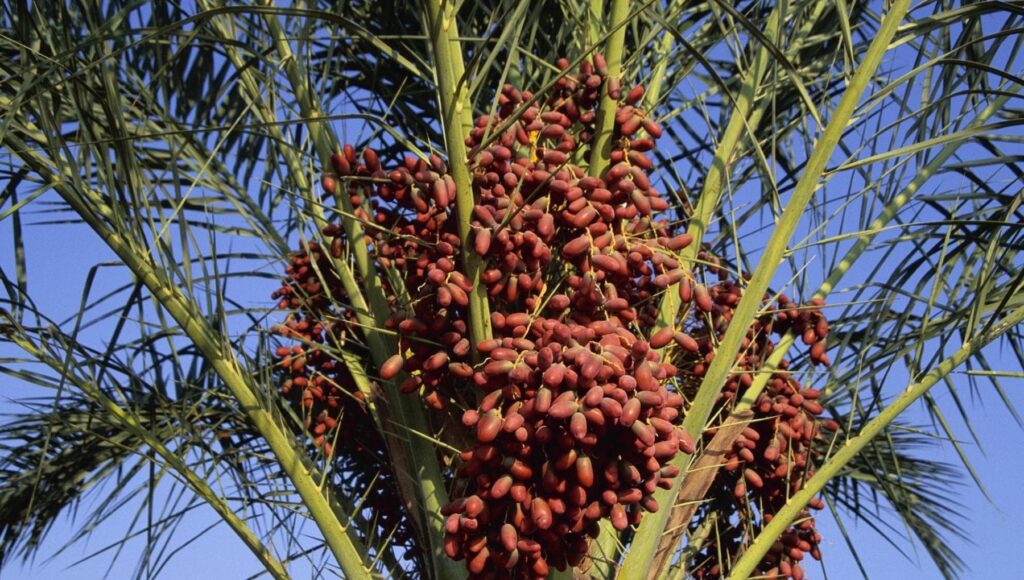 163145905-c619fcdc-8ac5-4544-bf2a-7b58bda54188