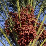 163145905-c619fcdc-8ac5-4544-bf2a-7b58bda54188