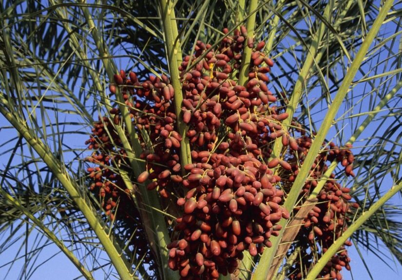 163145905-c619fcdc-8ac5-4544-bf2a-7b58bda54188