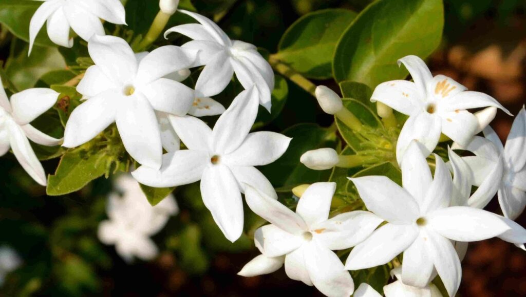 140650491-f0b077ec-ec7c-4da0-92c6-e89a800ef729