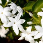 140650491-f0b077ec-ec7c-4da0-92c6-e89a800ef729