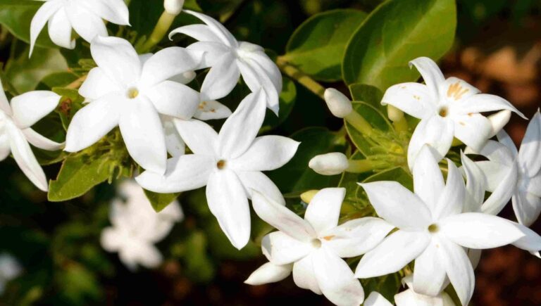 140650491-f0b077ec-ec7c-4da0-92c6-e89a800ef729