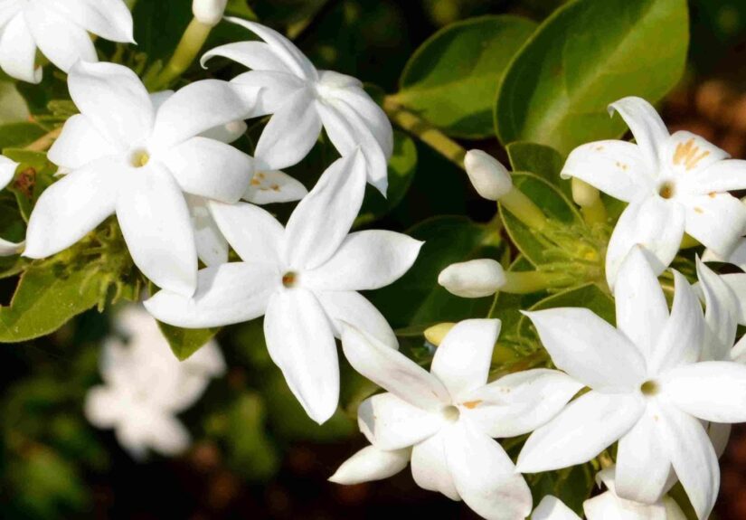 140650491-f0b077ec-ec7c-4da0-92c6-e89a800ef729