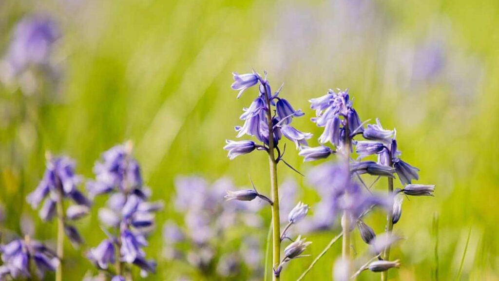 165234191-5db84f1f-8961-44df-8ba0-3f40bf556e6d