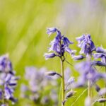 165234191-5db84f1f-8961-44df-8ba0-3f40bf556e6d