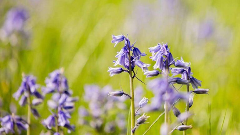 165234191-5db84f1f-8961-44df-8ba0-3f40bf556e6d