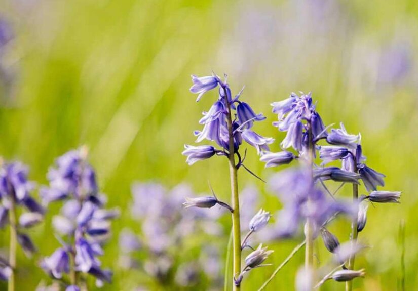 165234191-5db84f1f-8961-44df-8ba0-3f40bf556e6d